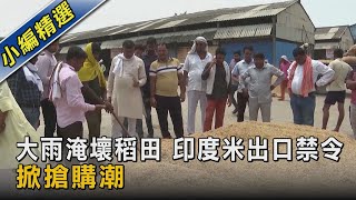 大雨淹壞稻田 印度米出口禁令 掀搶購潮｜TVBS新聞 @TVBSNEWS02