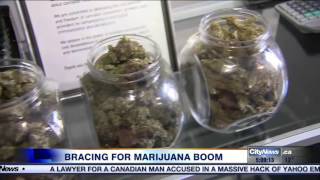 Video: Legalized marijuana could mean billions for Canada