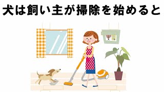 犬の飼い主への愛情表現の雑学