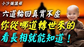 六道輪迴，真實不虛！你從哪一道投胎來的，看長相就知道了！#小沙彌講禪 #佛教 #佛法