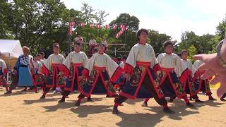 神戸学生よさこいチーム 湊 ~ こいや祭り 2017 ~