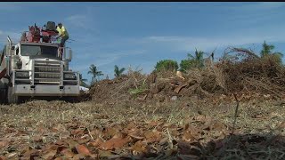 Lee County opens debris drop-off sites to speed cleanup