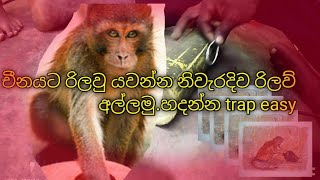 චීනයට රිලවු යවන්න නිවැරදිව රිලව් අල්ලමු.හදන්න trap easy