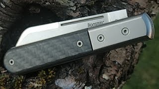 Lionsteel Dom