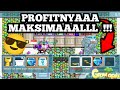 GG Aku PROFIT (5 BGL) Dari Trading Buy/Sell+ World Mahal !!! - Growtopia 2023