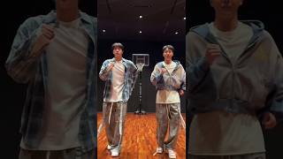 [TIKTOK] Jin with j-hope!