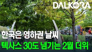 달라스는 벌써 90도 한여름 날씨! 100년 만에 가장 더운 2월 26일 기록 [DALKORA 영상뉴스]