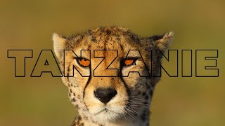 Tanzanie - Automne 2024