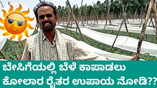 Use of Shade net during hot Summer in KOLAR