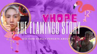 VHOPE: The Flamingo story 🦩❤️💚😁