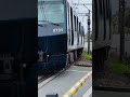 【相鉄線】相鉄8000系ynb車 通過 さがみ野駅付近の踏切 shorts 【ユート放送局】