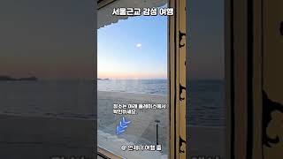 서울 근교 드라이브 코스 대부도 여행 중 카페 방문 후기