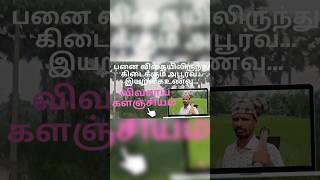 பனை விதையிலிருந்து கிடைக்கும் அபூர்வ இயற்கை உணவு..