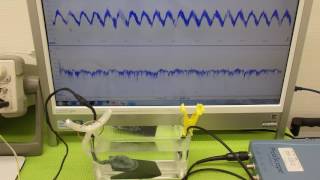 オリジナル超音波実験　Ultrasonic experiment　（超音波システム研究所　ultrasonic-labo）