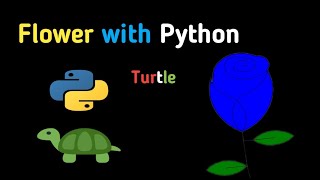 Code a Flower with Python turtle - Tutorial | DKN4.Hackers
