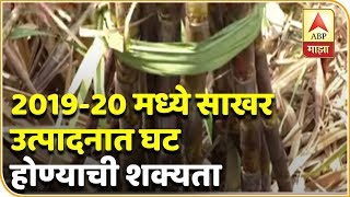 2019-20 मध्ये साखर उत्पादनात घट होण्याची शक्यता | 712 | एबीपी माझा