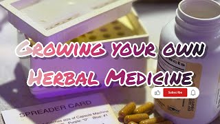 How to Use a Capsule Machine | Making Herbal Medicine | Season 6 | E12