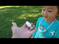 foraging picking and cooking shaggy inkcap coprinus comatus mushrooms south australia nấm mực