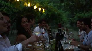 Divinea Aftermovie | Massimago Wine Experience