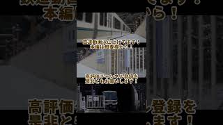 【嵯峨野線】秘境駅保津峡駅を撮影してみた！【JR西日本】