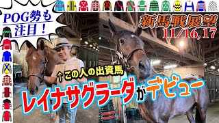 【週刊新馬展望11/16-17】ドゥレッツァの妹レイナサグラーダがデビューするので出資者を代表してサムネに登場していただきました！【節約大全】Vol.1327