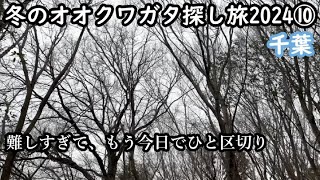 冬のオオクワガタ探し旅2024シーズン⑩【千葉】いったんこの地域は今回でやめ