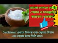 কর্পুর ঘরে আছে তো সময় নষ্ট না করে করুন এই কাজ ঘুরে যাবে ভাগ্যের চাকা