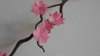Evigami Schachtel Mit Herzverschluss