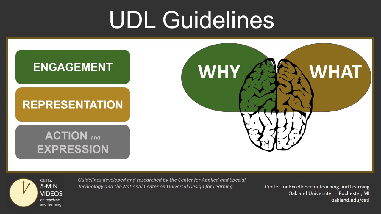 Universal Design For Learning Guidelines Design Talk