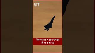 উন্নতমানের অ স্ত্রের ব্যবহার হি জ বু ল্লা হ'র