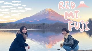 Mt. Fuji Japan travel vlog🗻✨(Eng sub) BEAUTIFUL RED FUJI, local food, magical spring water ponds🌾