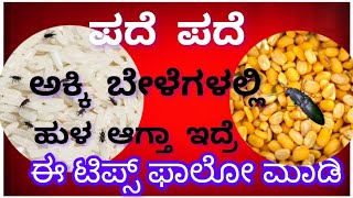 ಪದೆ ಪದೆ ಅಕ್ಕಿ ಬೇಳೆಗಳಲ್ಲಿ ಹುಳ ಆಗ್ತಾ ಇದ್ರೆ, ಈ ಟಿಪ್ಸ್ ಫಾಲೋ ಮಾಡಿ #cleaningtips #home #viralvideo