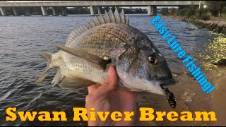 Targeting Swan River Bream on Lures | Tips, Tricks and Techniques