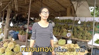 เกษตรกลางแปลงXเค้นค้อ l EP.02 ฤดูทุเรียนใต้