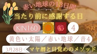 【極性KINの日】【マヤ暦 KIN160】今日の銀河のエネルギーについて（2024年3月28日）