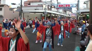 高新RKCグループ　～2011高知よさこい祭り・本祭１日目(愛宕競演場)