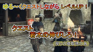 ドラゴンズドグマ2　～クエスト:若木の伸びしろ～