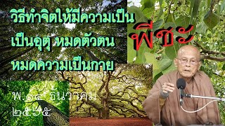 651214 104 วิธีทำจิตให้มีความเป็นพีชะ เป็นอุตุ หมดตัวตนหมดความเป็นกาย