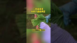 如何科學可持續的割韭菜