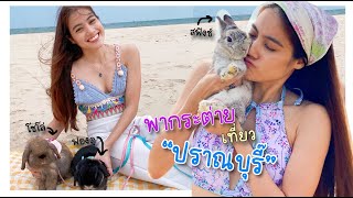 EP18พากระต่ายไปทะเลปราณบุรี I เต๊าะไปเรื่อยxbunnystreet