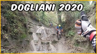 Motovigna Dogliani 2020