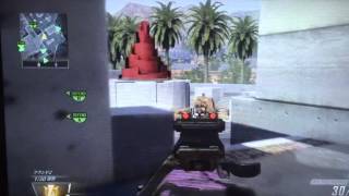 【COD BO2】えりめろ発狂猛者がゆく戦場 S\u0026Dでオービタルﾄﾞﾔ顔