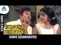 Thedi Vandha Mappillai Old Movie Songs | Idamo Sugamanathu Video Song | MGR | Jayalalitha | MSV