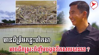 មានដីត្រឹមកន្លះហិកតា អាចជីកស្រះចិញ្ចឹមបង្កងទឹកសាបបានទេ? | កម្មវិធីកសិកម្ម