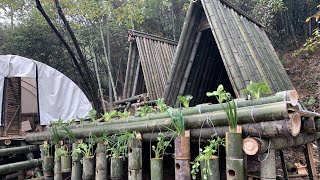 平台打造竹筒空中菜园，高山冬夜不怕冷，还有火锅配菜！