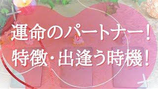 運命のパートナーの特徴や出逢うタイミングを占いました🔮【出逢い🦋運命の人🦋恋愛お悩み解決タロット🦋オラクル3択リーディング🌈】【アファメーション付き🌈】