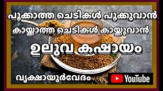 പൂക്കാത്ത ചെടികൾ പൂക്കുവാൻ... കായ്ക്കാത്ത ചെടികൾ കായ്ക്കുവാൻ.... ഉലുവ കഷായം ...FENUGREEK FOR PLANTS.