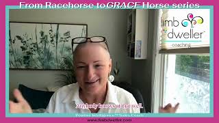 From Racehorse to Grace Horse Series