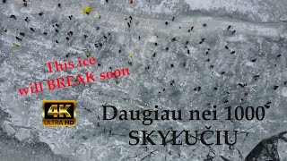 4K👍Ledo žūklės įspūdžiai Klaipeda😉Ice fishing impressions in Klaipeda