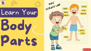 Funny Body Parts Adventure for Kids | Learn Body Parts for Kids | Human Body for Kids in English.